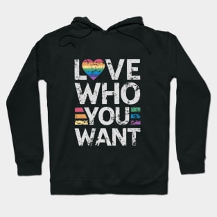 Love who you want Hoodie